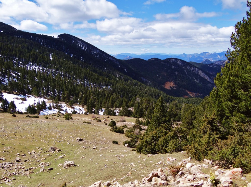 Foto: Parc Natural del Cadí-Moixeró - La Vansa (Lleida), España