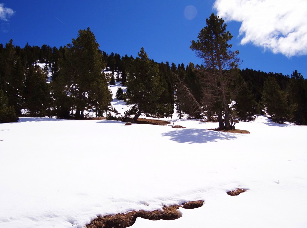 Foto: Parc Natural del Cadí-Moixeró - La Vansa (Lleida), España