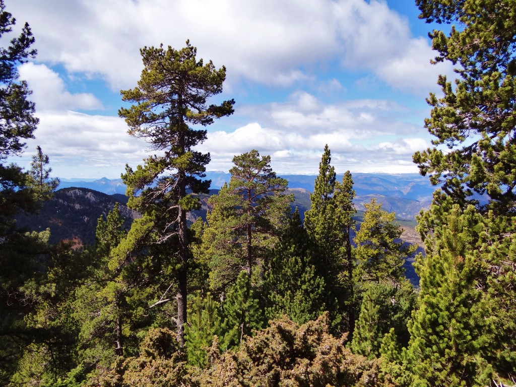 Foto: Parc Natural del Cadí-Moixeró - La Vansa (Lleida), España