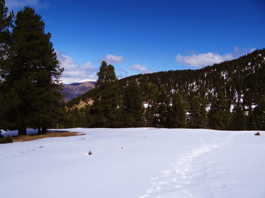 Foto: Parc Natural del Cadí-Moixeró - La Vansa (Lleida), España