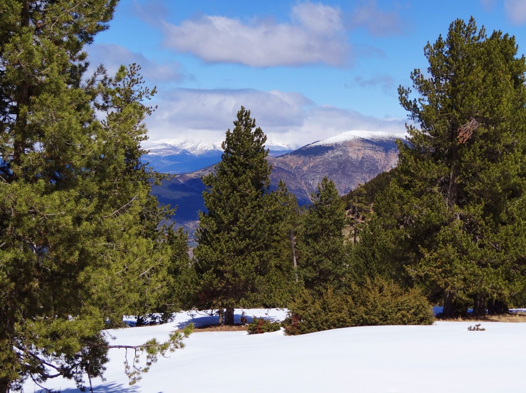 Foto: Parc Natural del Cadí-Moixeró - La Vansa (Lleida), España