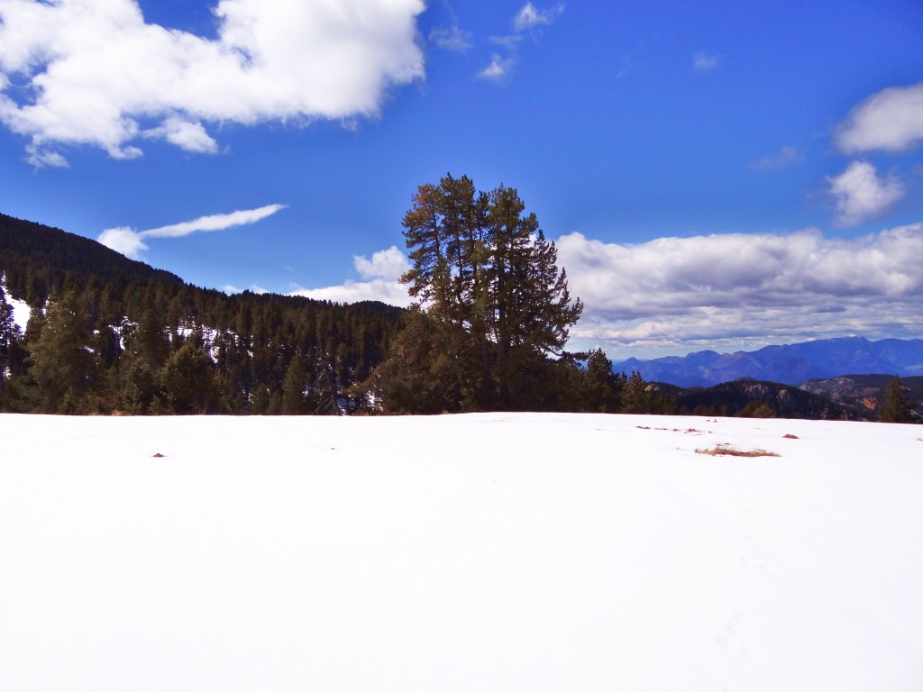 Foto: Parc Natural del Cadí-Moixeró - La Vansa (Lleida), España