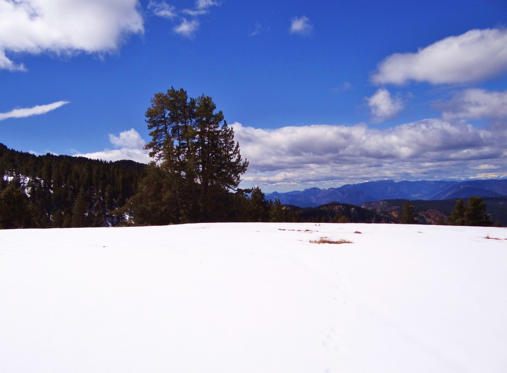 Foto: Parc Natural del Cadí-Moixeró - La Vansa (Lleida), España