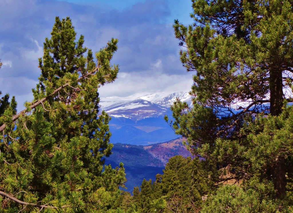 Foto: Parc Natural del Cadí-Moixeró - La Vansa (Lleida), España