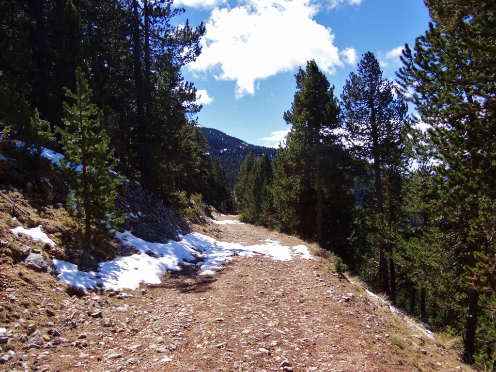 Foto: Parc Natural del Cadí-Moixeró - La Vansa (Lleida), España