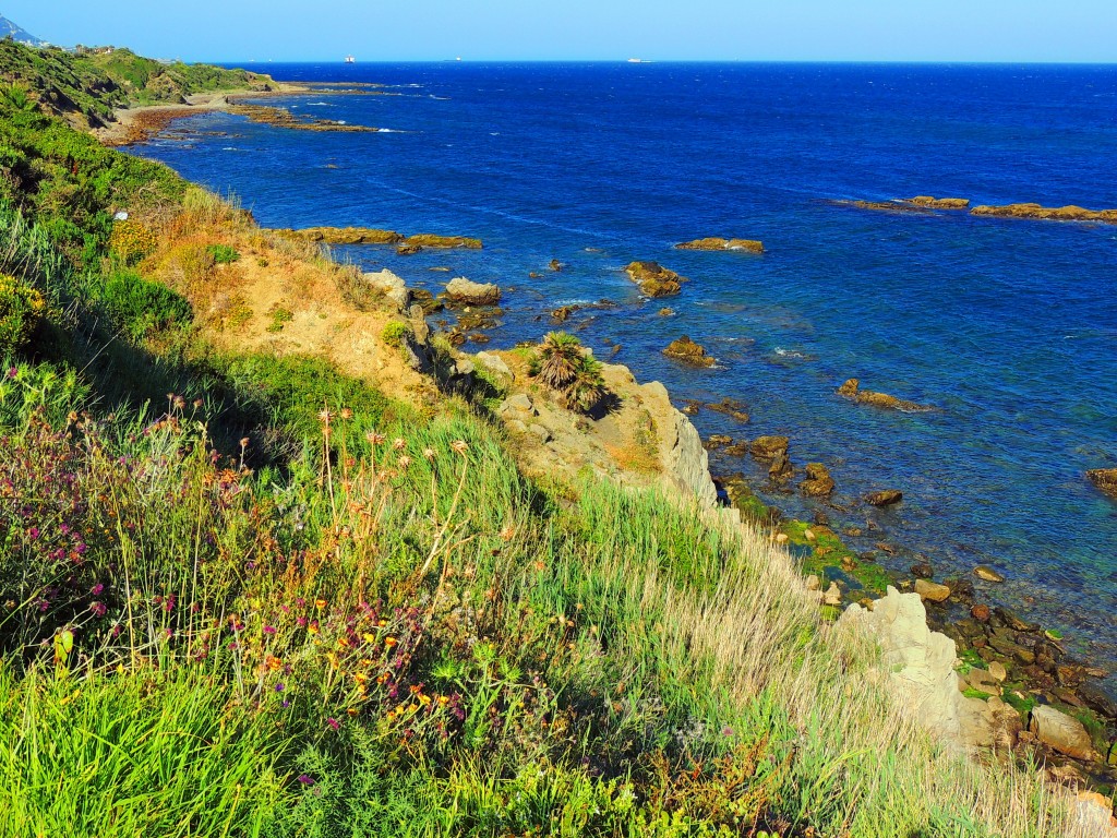 Foto de Algeciras (Cádiz), España