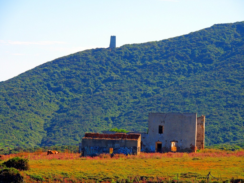 Foto de Algeciras (Cádiz), España