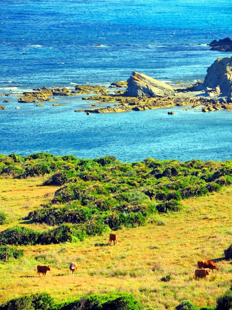 Foto de Algeciras (Cádiz), España