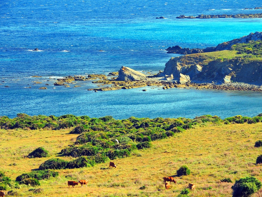 Foto de Algeciras (Cádiz), España