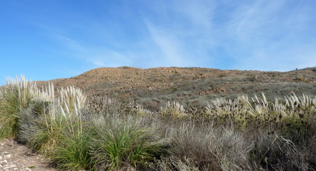 Foto: Parque Nacional Lihué Calel - Lihué Calel (La Pampa), Argentina