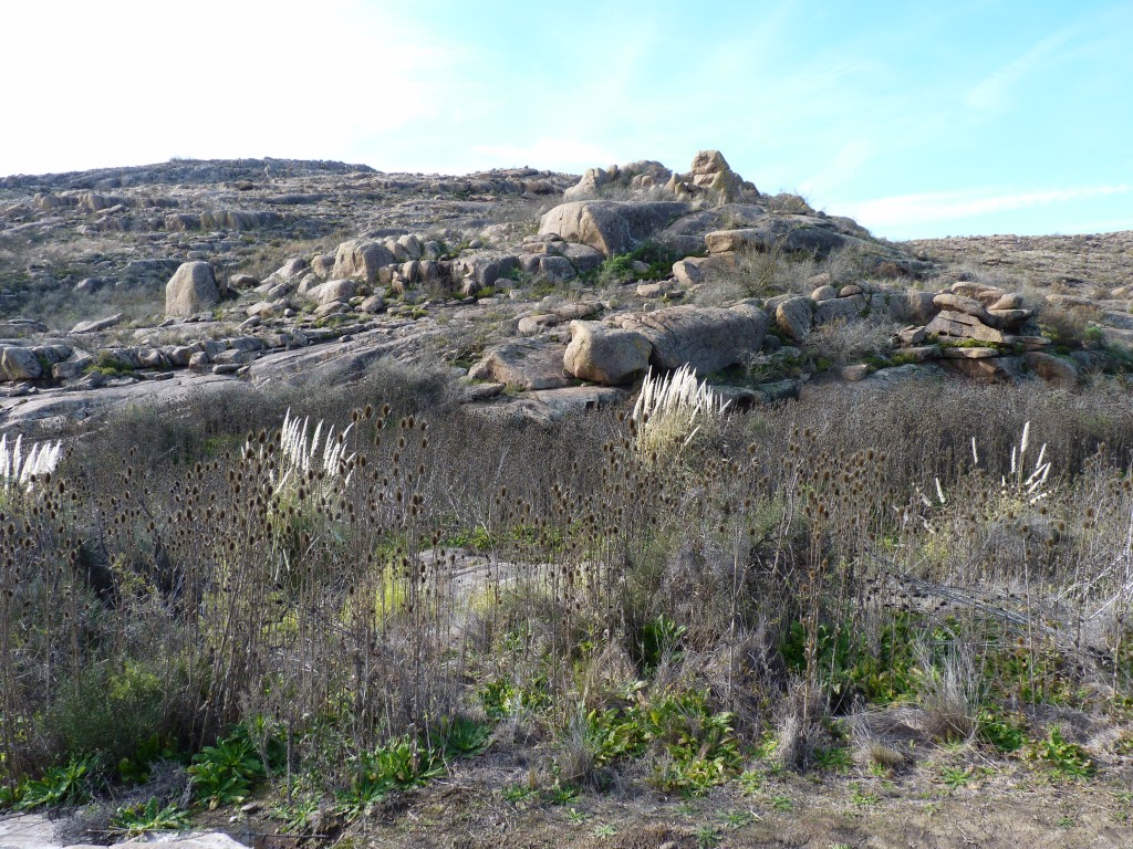 Foto: Parque Nacional Lihué Calel - Lihué Calel (La Pampa), Argentina