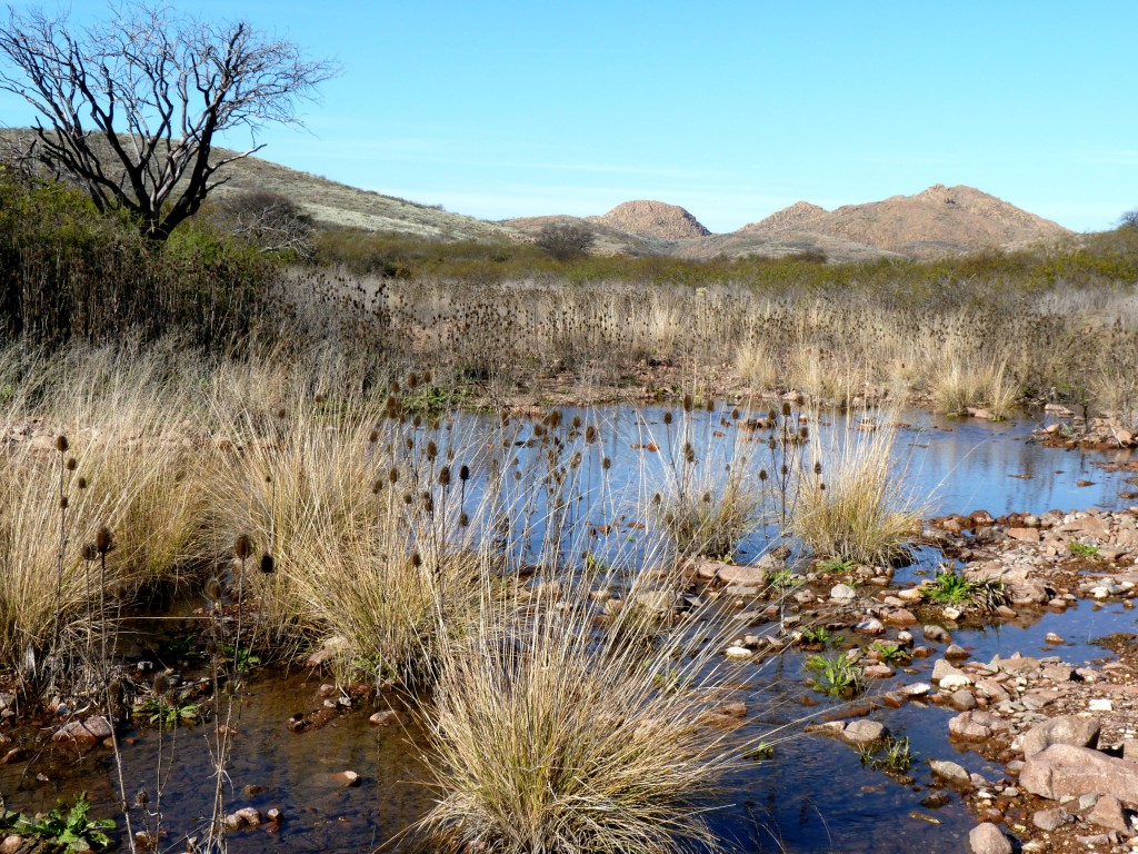 Foto: Parque Nacional Lihué Calel - Lihué Calel (La Pampa), Argentina