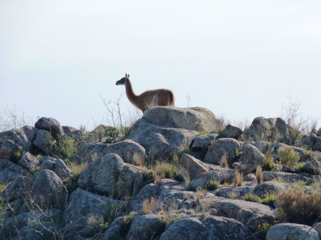 Foto: Parque Nacional Lihué Calel - Lihué Calel (La Pampa), Argentina