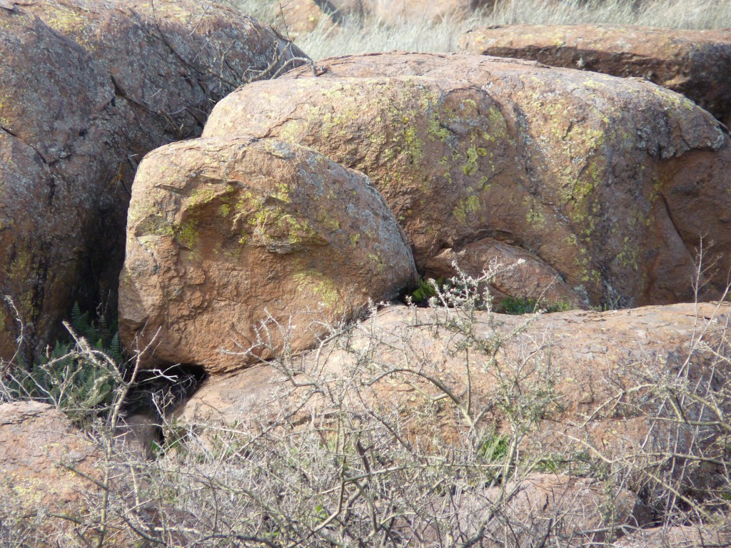 Foto: Parque Nacional Lihué Calel - Lihué Calel (La Pampa), Argentina