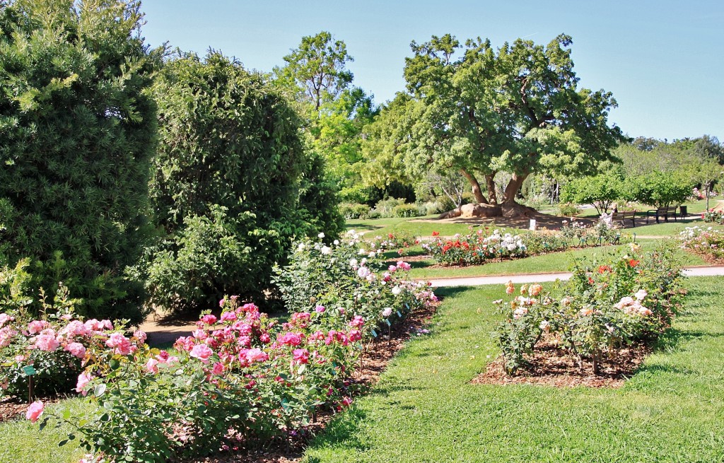 Foto: Parque Cervantes - Barcelona (Cataluña), España