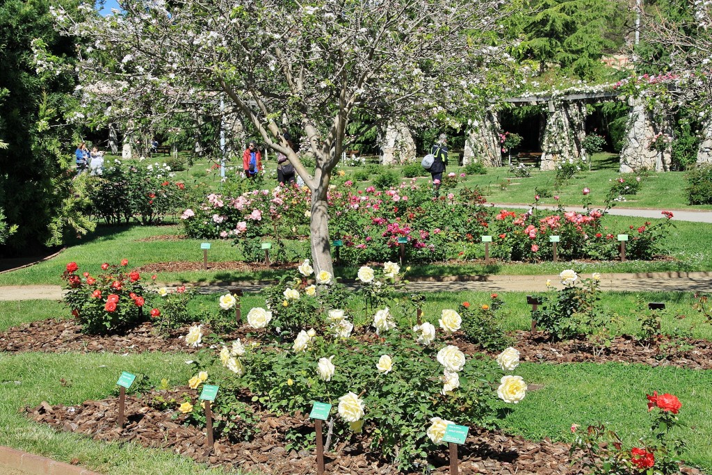 Foto: Parque Cervantes - Barcelona (Cataluña), España