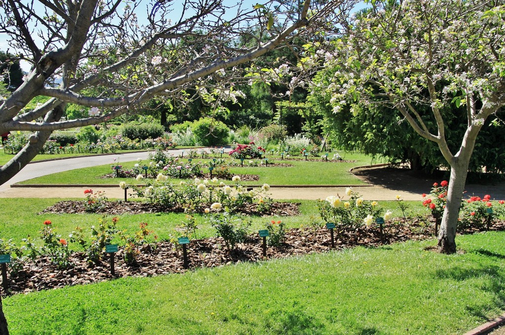 Foto: Parque Cervantes - Barcelona (Cataluña), España