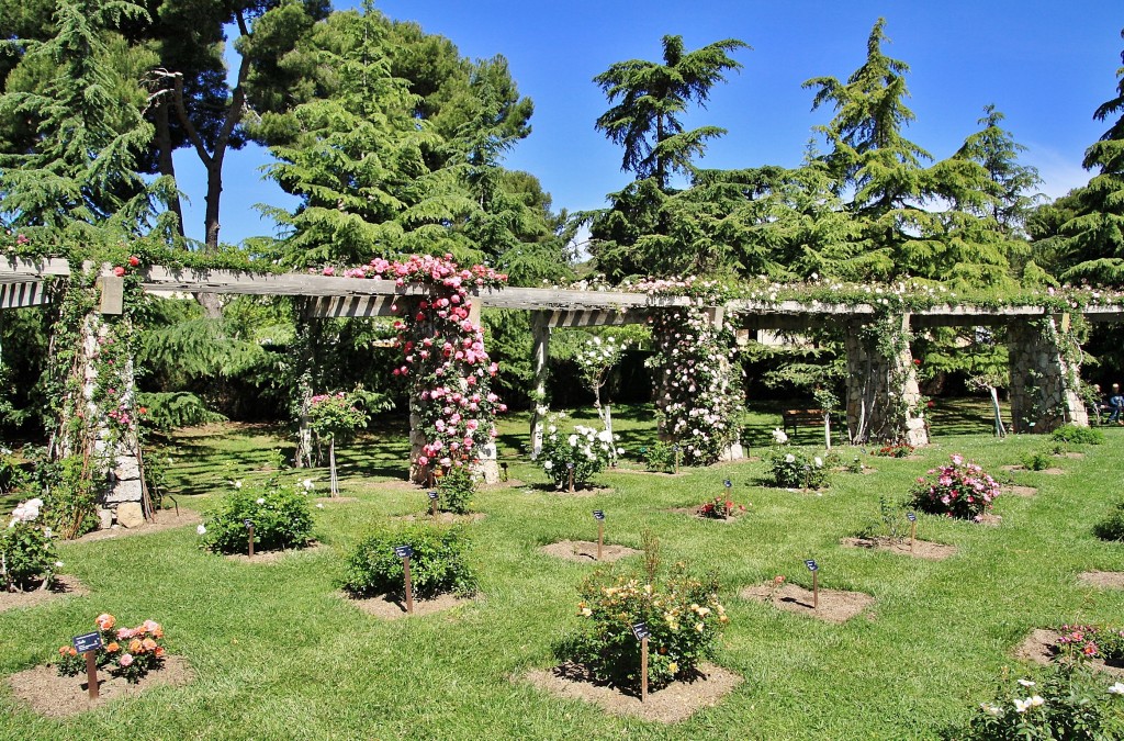 Foto: Parque Cervantes - Barcelona (Cataluña), España