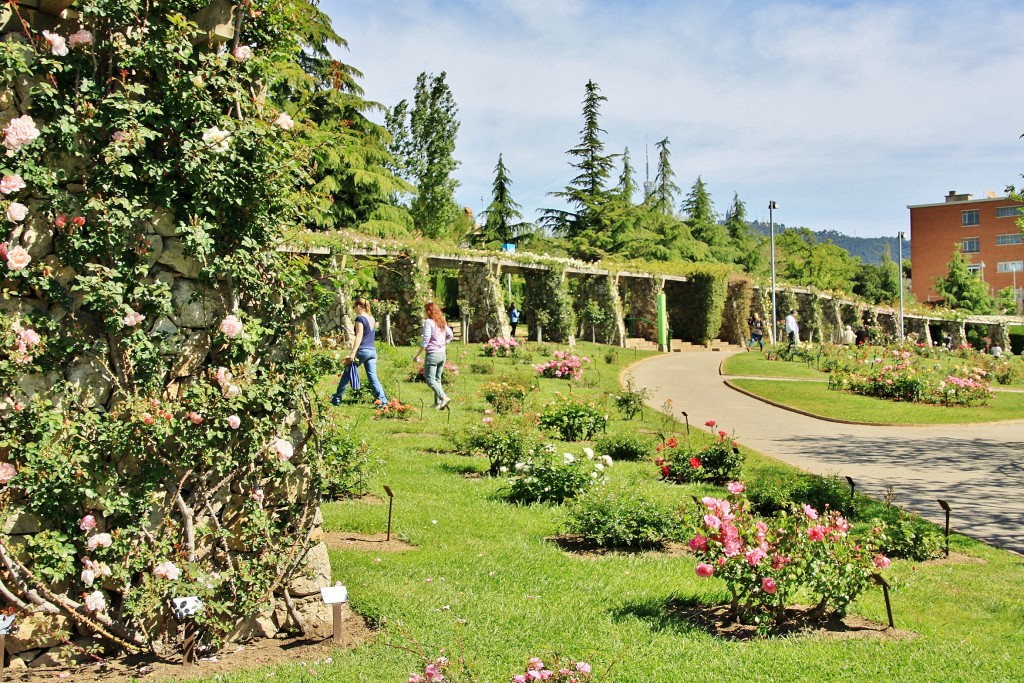 Foto: Parque Cervantes - Barcelona (Cataluña), España