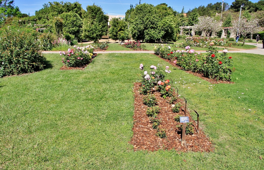 Foto: Parque Cervantes - Barcelona (Cataluña), España