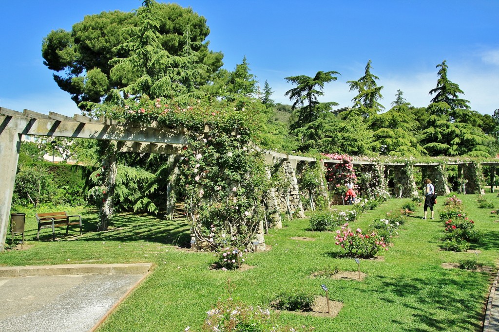 Foto: Parque Cervantes - Barcelona (Cataluña), España