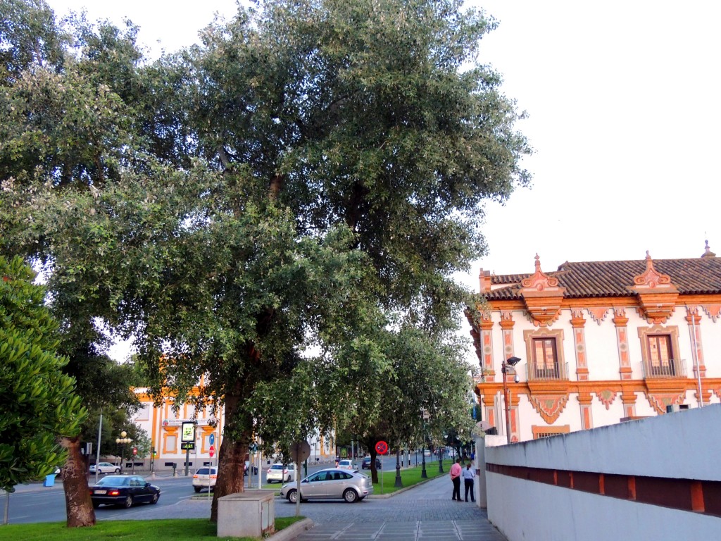 Foto de Córdoba (Andalucía), España