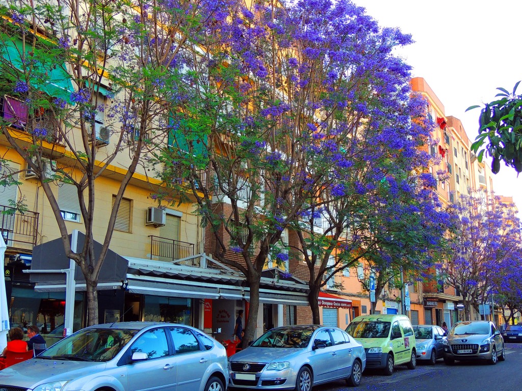 Foto de Córdoba (Andalucía), España