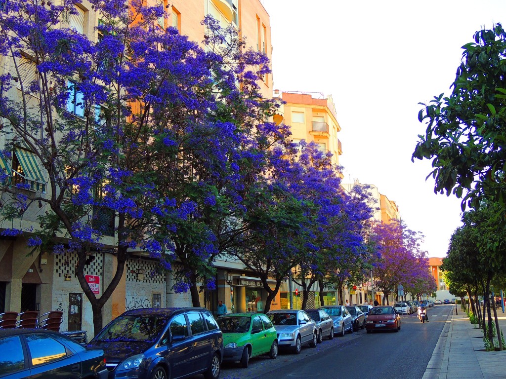 Foto de Córdoba (Andalucía), España