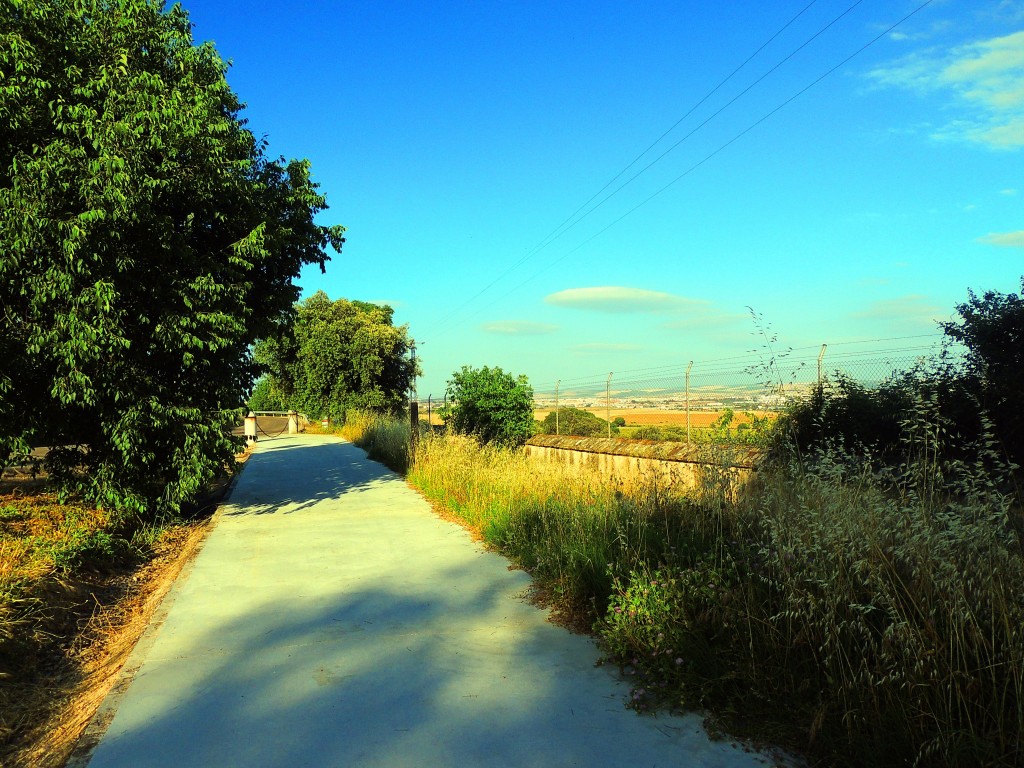 Foto: Medinat Al-Zahra - Córdoba (Andalucía), España