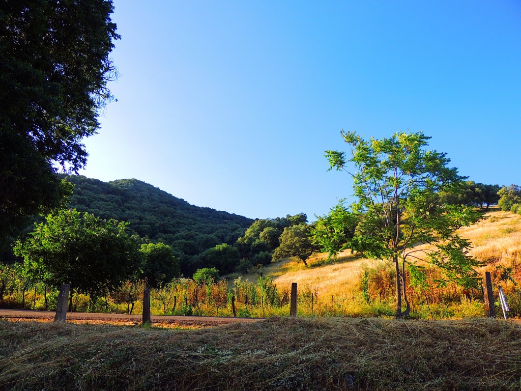 Foto: Medinat Al-Zahra - Córdoba (Andalucía), España