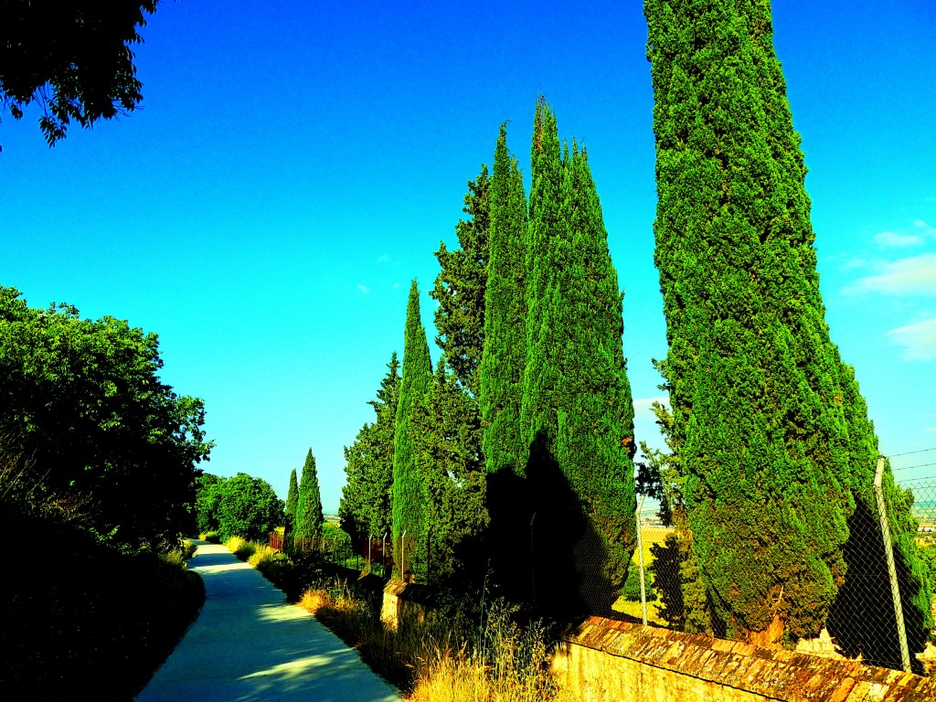 Foto: Medinat Al-Zahra - Córdoba (Andalucía), España