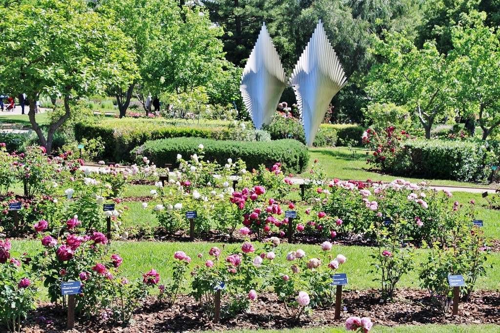 Foto: Parque Cervantes - Barcelona (Cataluña), España