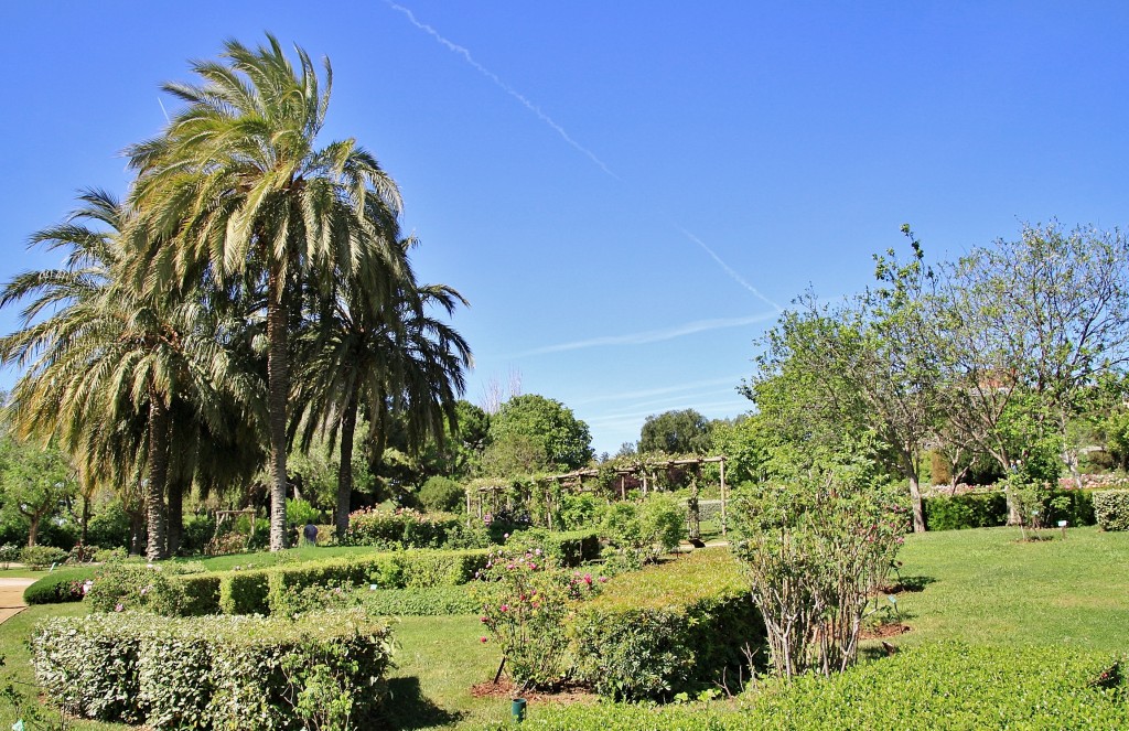 Foto: Parque Cervantes - Barcelona (Cataluña), España