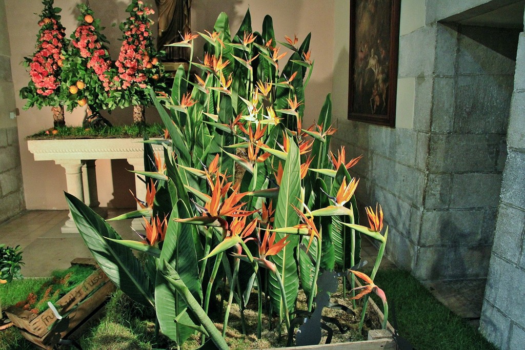 Foto: Girona tiempo de flores - Girona (Cataluña), España