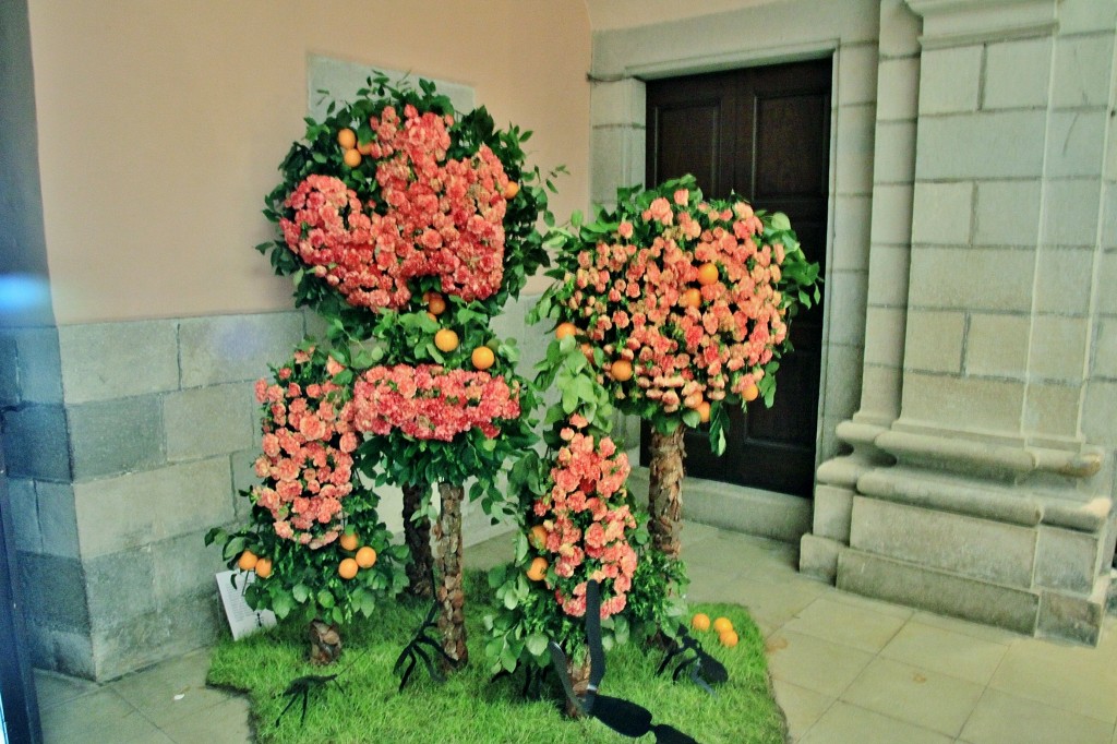 Foto: Girona tiempo de flores - Girona (Cataluña), España