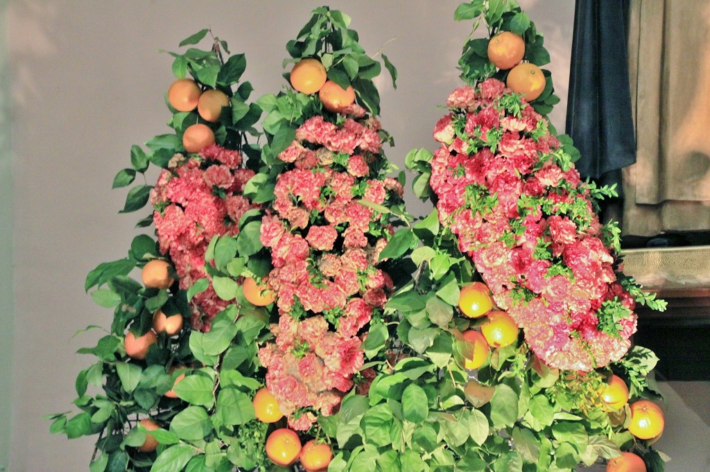 Foto: Girona tiempo de flores - Girona (Cataluña), España