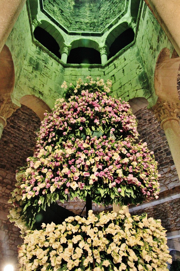 Foto: Girona tiempo de flores - Girona (Cataluña), España