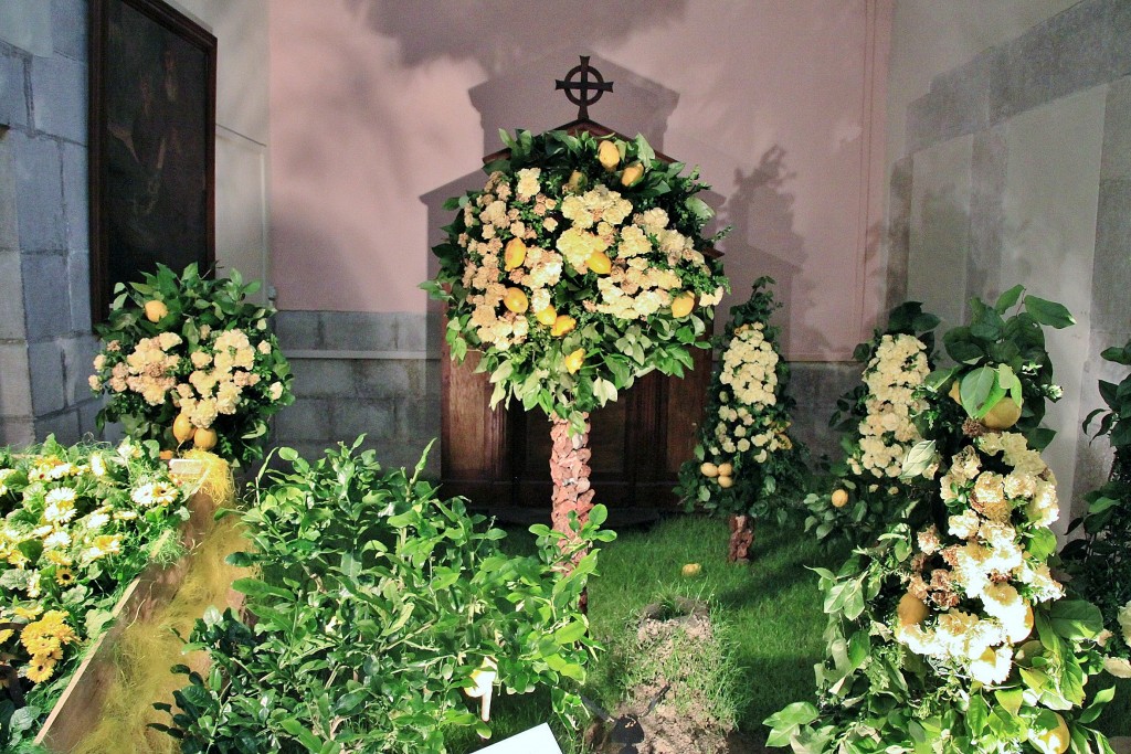 Foto: Girona tiempo de flores - Girona (Cataluña), España