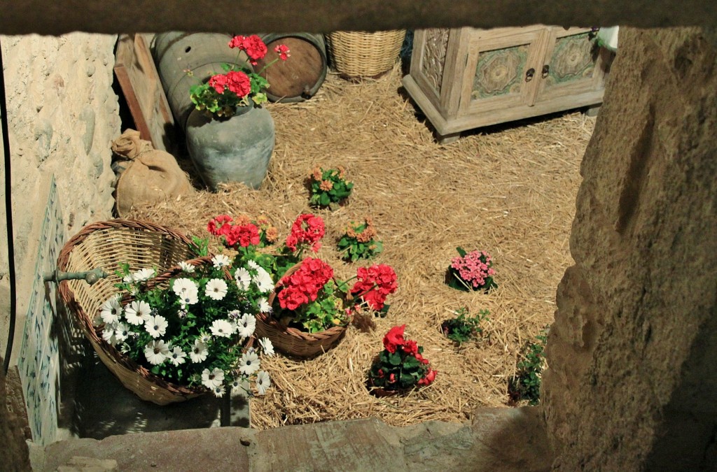 Foto: Girona tiempo de flores - Girona (Cataluña), España