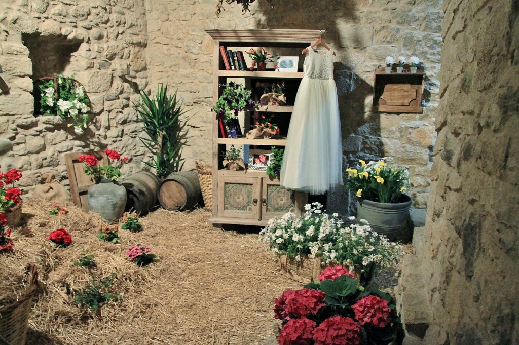 Foto: Girona tiempo de flores - Girona (Cataluña), España