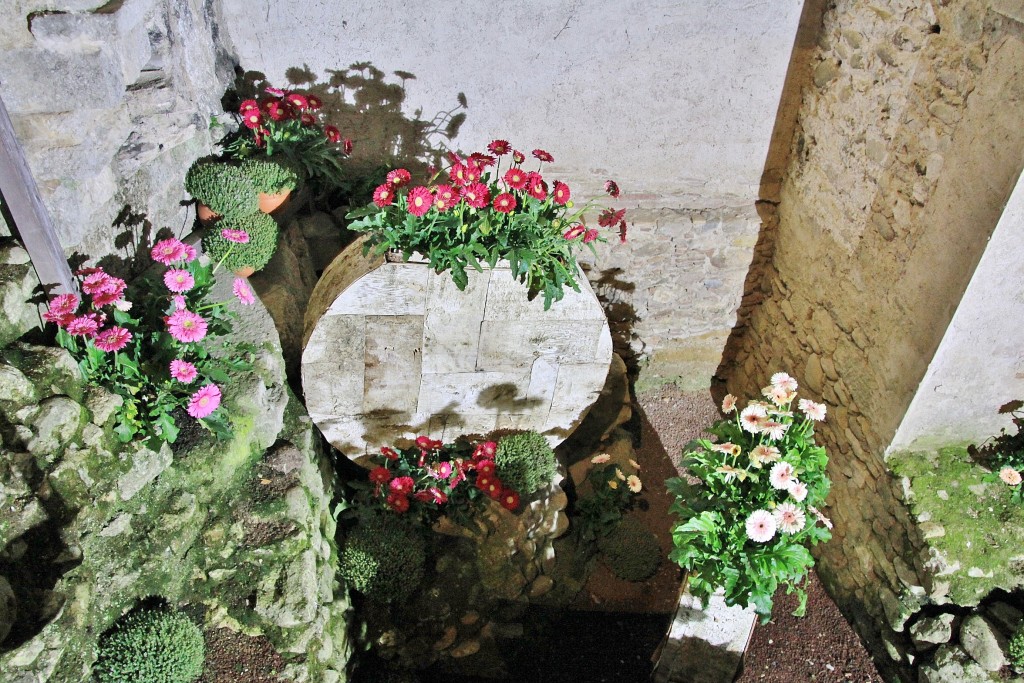 Foto: Girona tiempo de flores - Girona (Cataluña), España