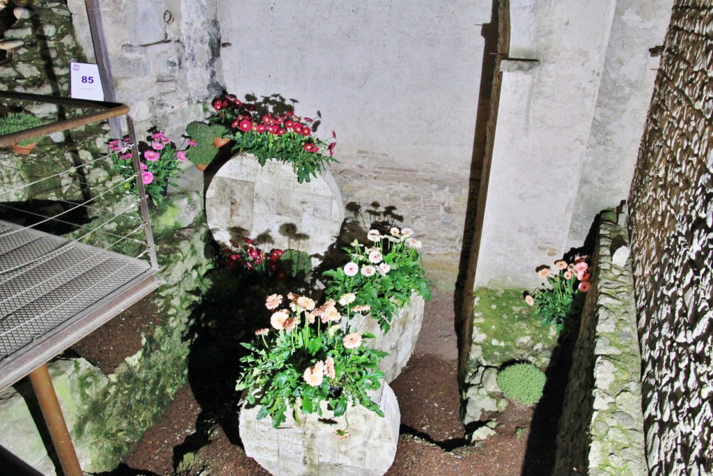 Foto: Girona tiempo de flores - Girona (Cataluña), España