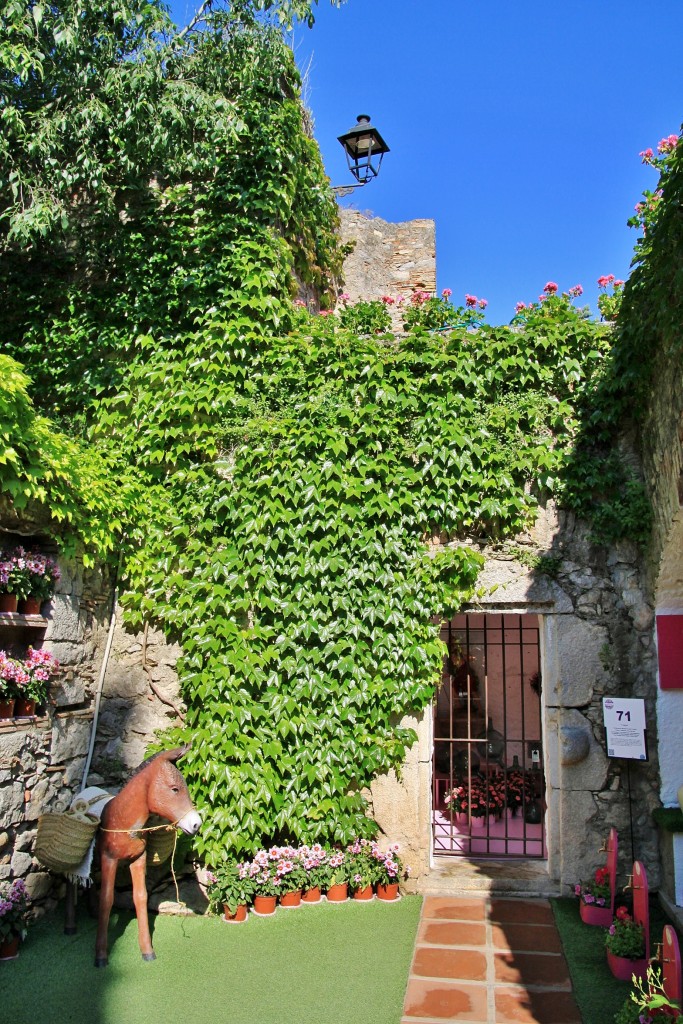 Foto: Girona tiempo de flores - Girona (Cataluña), España