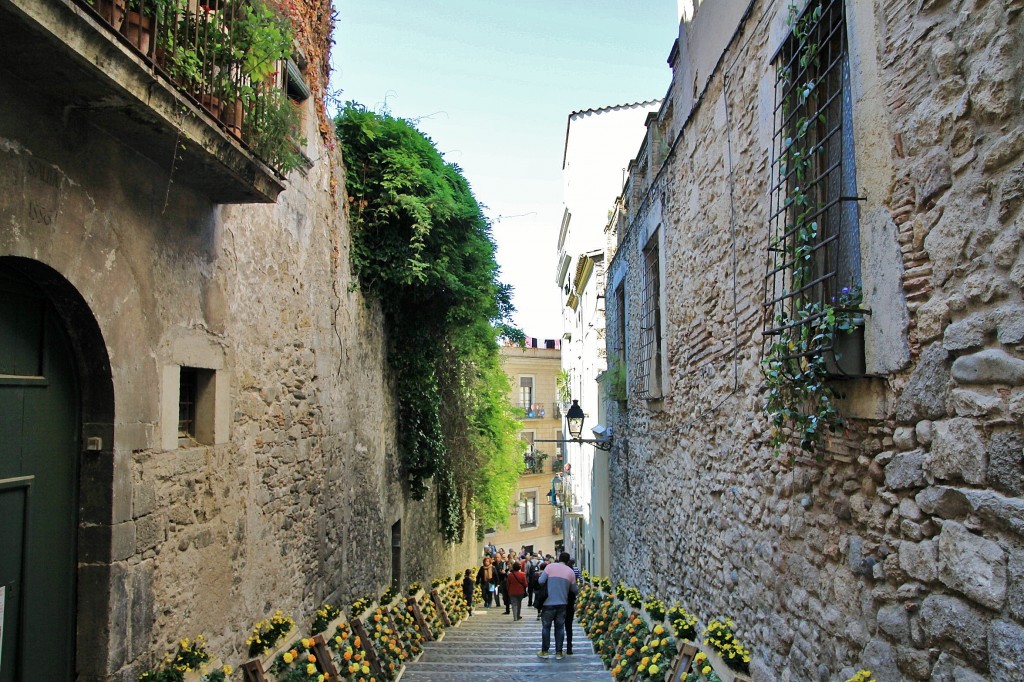 Foto: Girona tiempo de flores - Girona (Cataluña), España