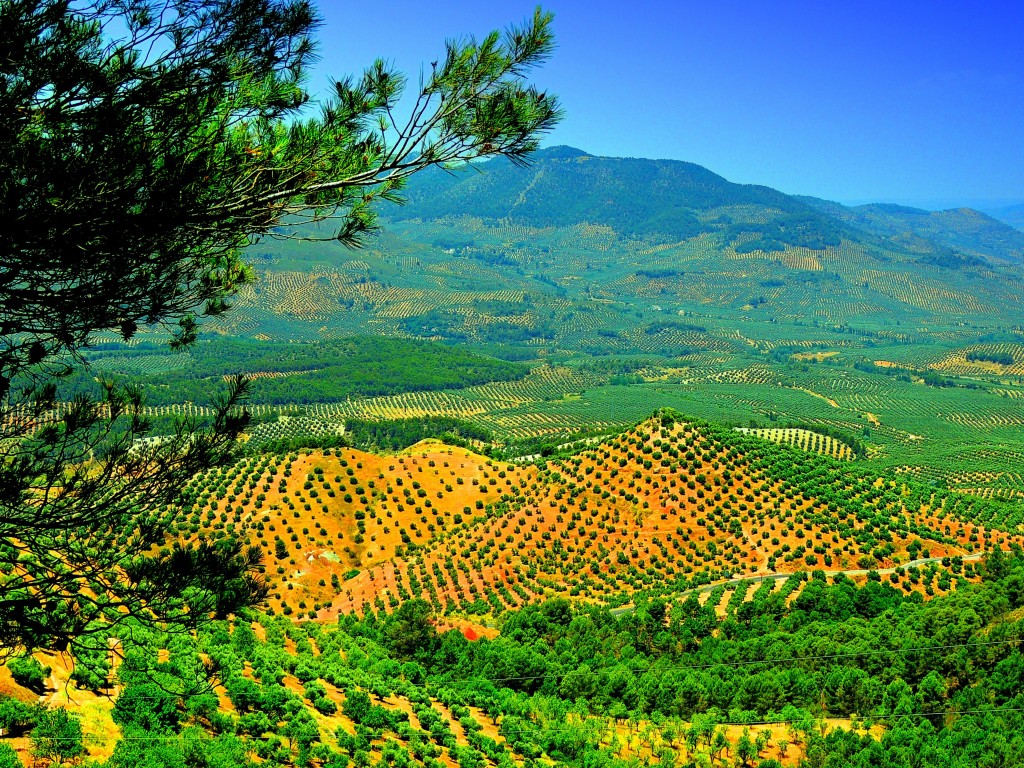 Foto de Segura de la Sierra (Jaén), España