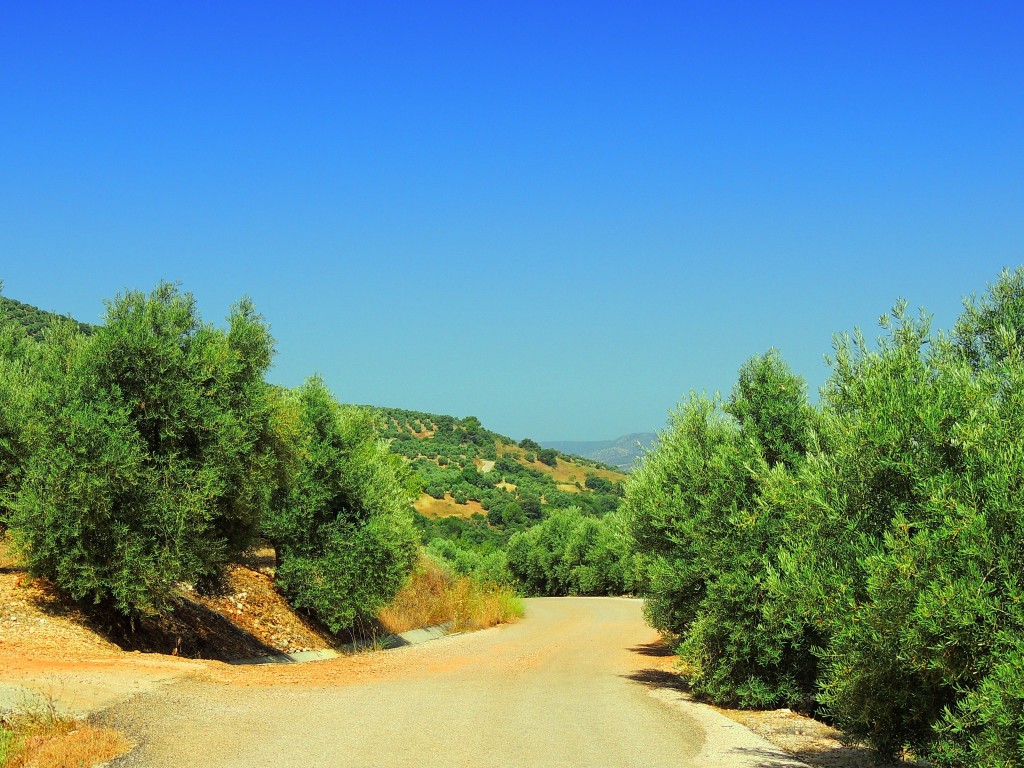 Foto de Peñolite (Jaén), España