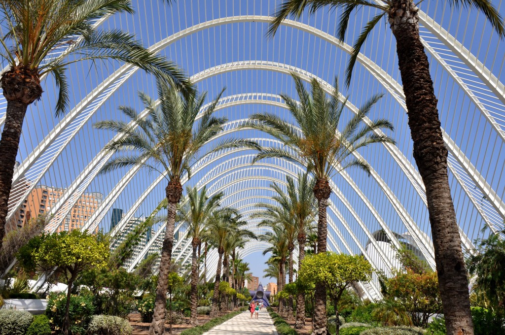 Foto: Umbracle - Valencia (València), España