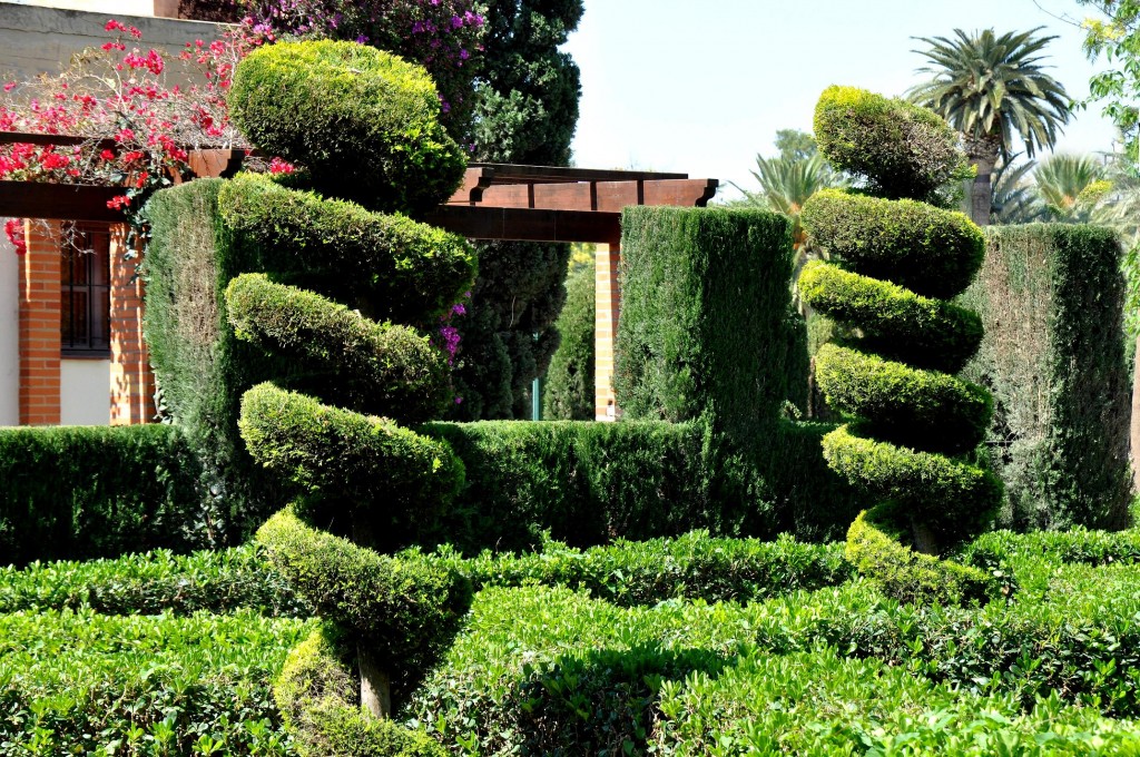 Foto: Jardines del Real - Valencia (València), España