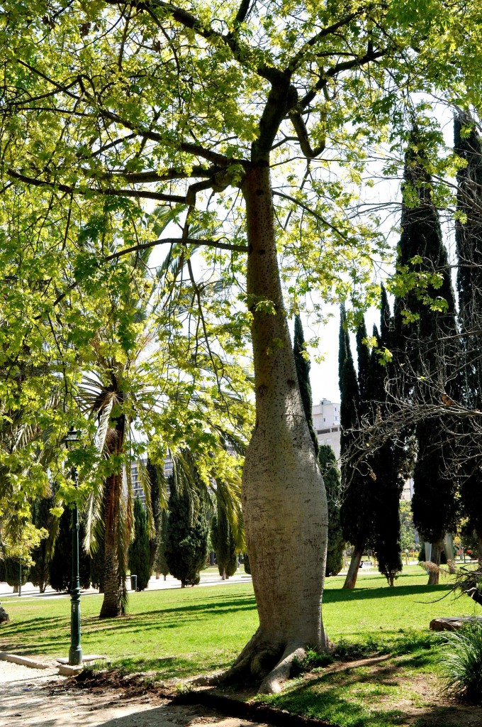 Foto: Jardines del rio - Valencia (València), España