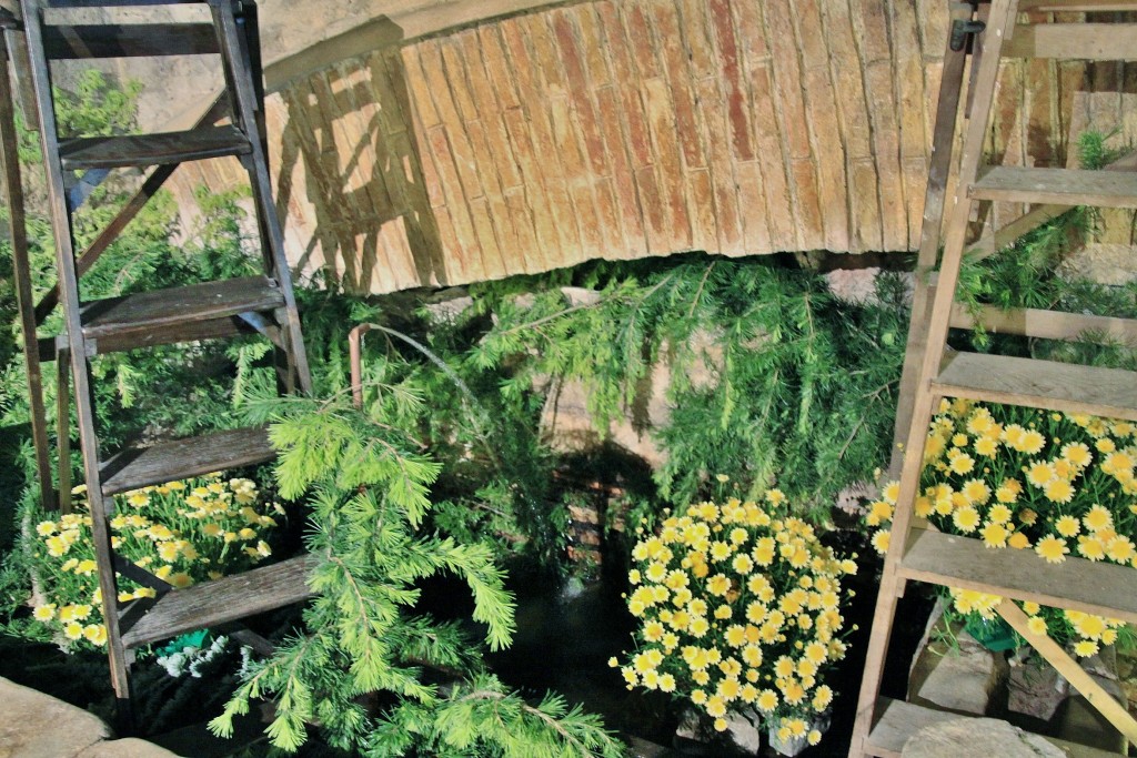 Foto: Girona tiempo de flores - Girona (Cataluña), España